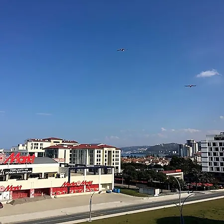 Vera 特拉布宗